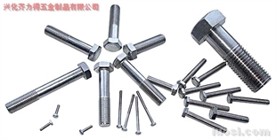 供應(yīng):316L 外六角螺栓,華人螺絲網(wǎng)提供各種供應(yīng):316L 外六角螺栓報(bào)價(jià)、價(jià)格、生產(chǎn)廠家、供應(yīng)商-興化齊力得五金制品